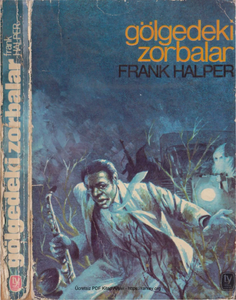 Gölgedeki Zorbalar kapak görseli