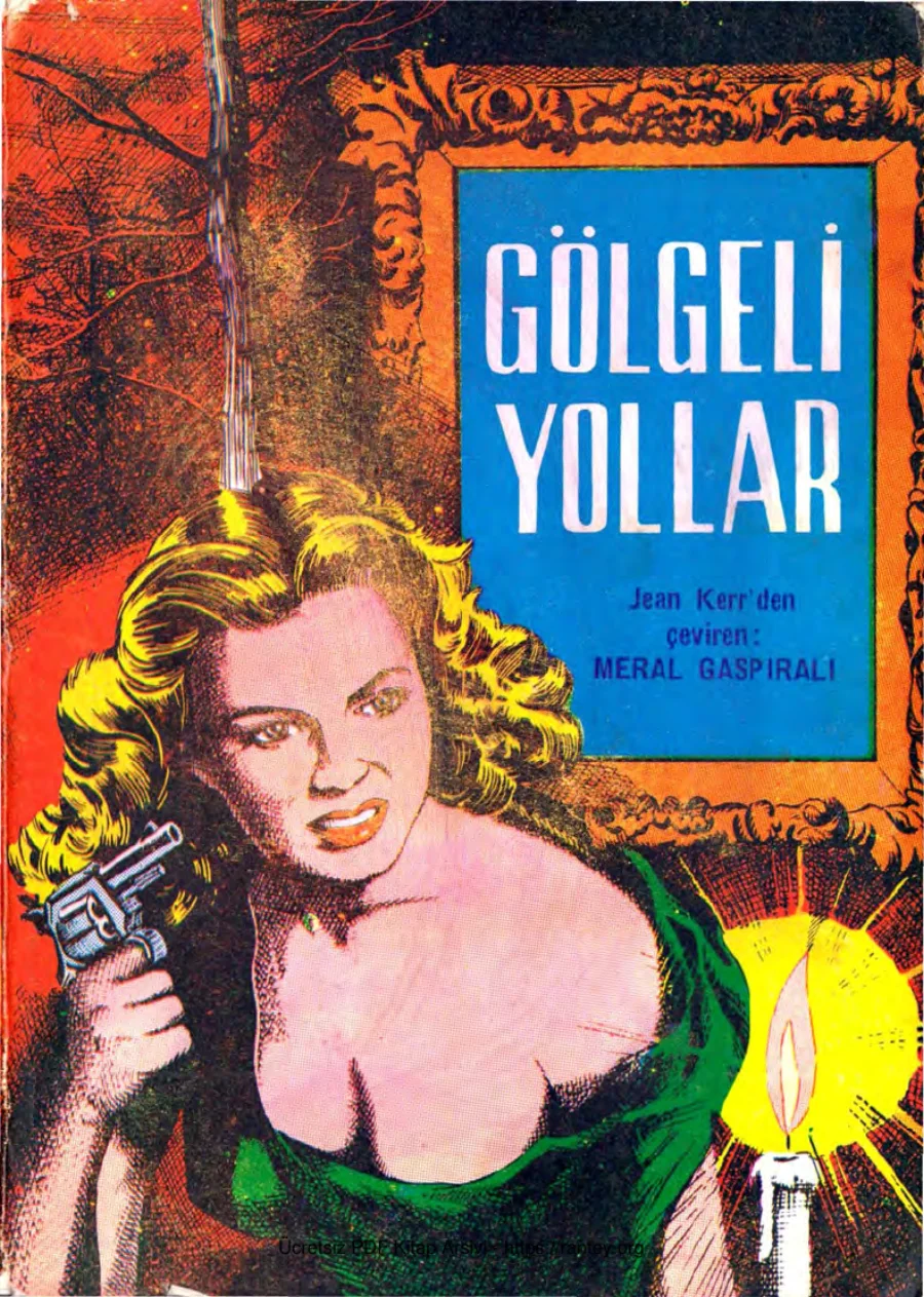 Gölgeli Yollar Akbaba Yayınları kapak görseli