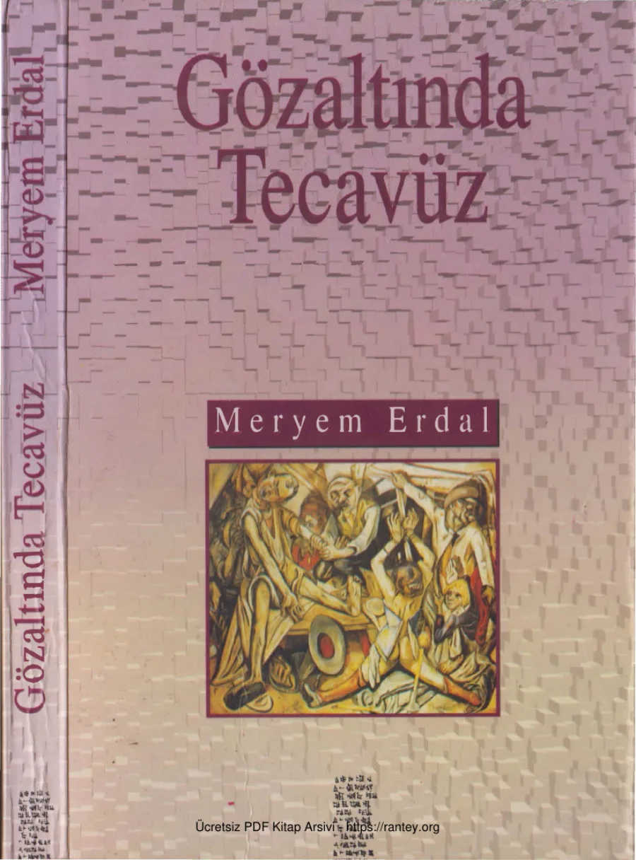 Gözaltında Tecavüz kapak görseli