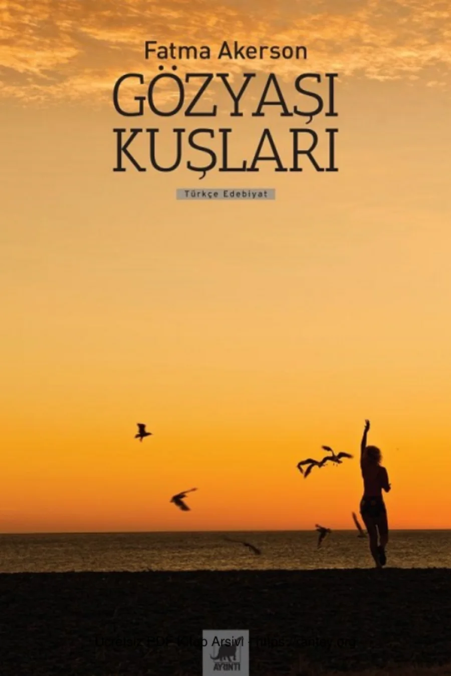 Gözyaşı Kuşları kapak görseli
