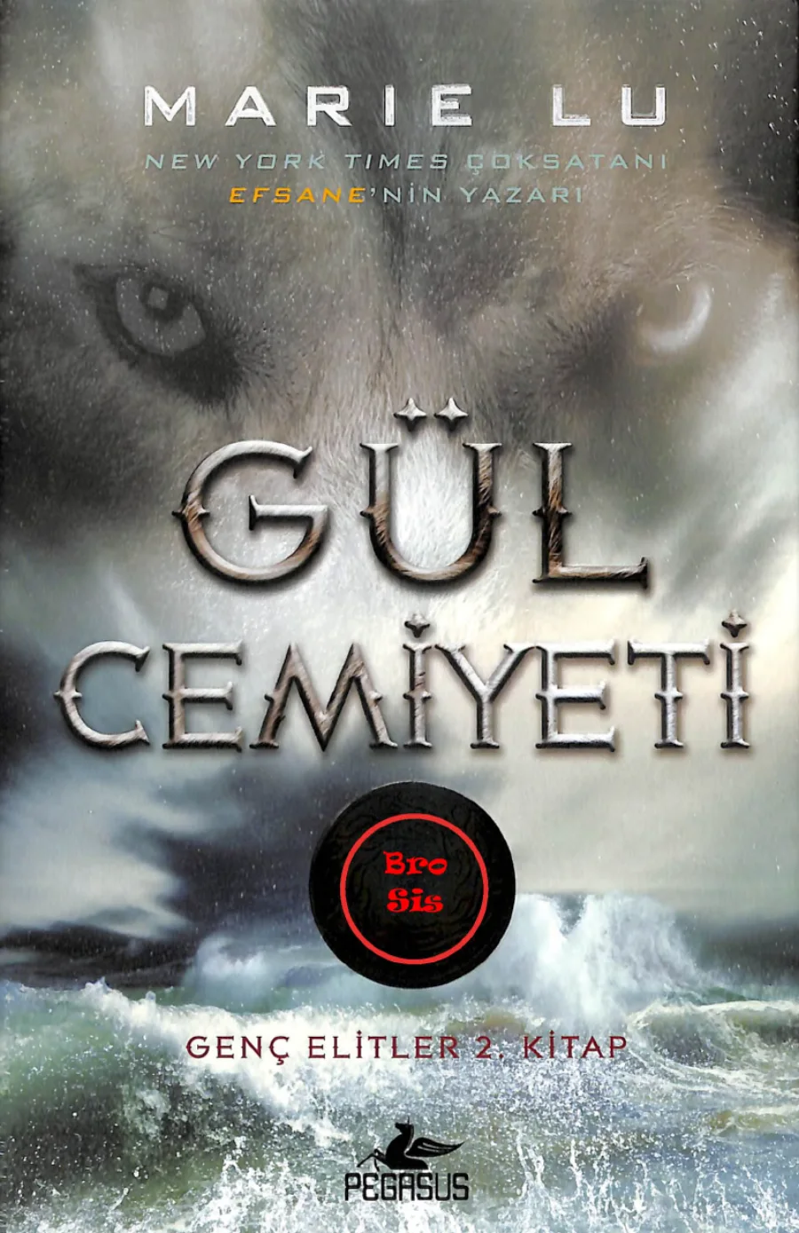 Gül Cemiyeti kapak görseli