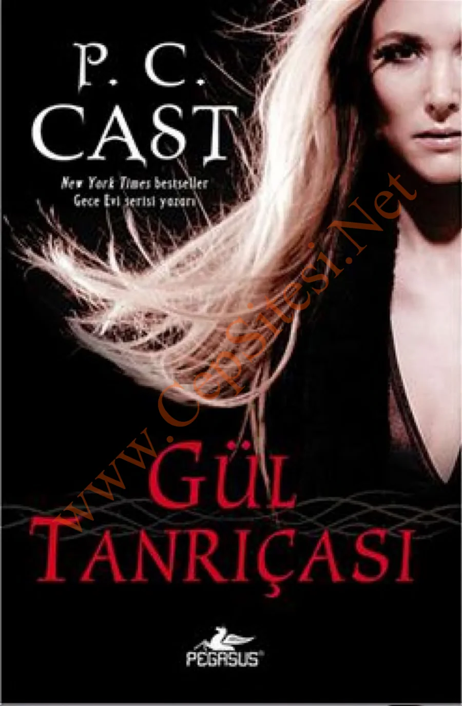 Gul Tanricasi Tanrica Cilt 4 kapak görseli