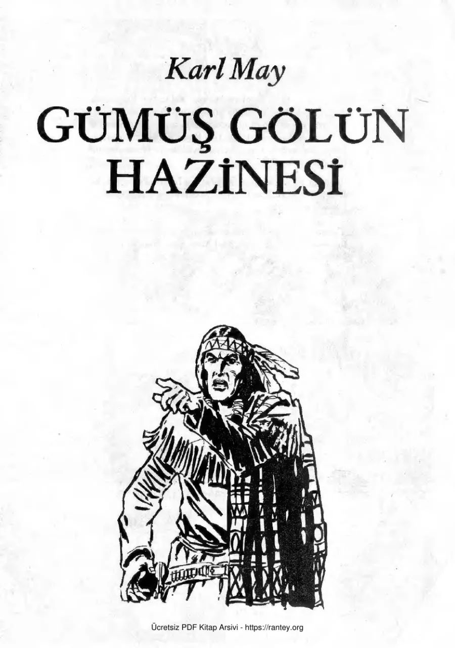 Gümüş Gölün Hazinesi kapak görseli
