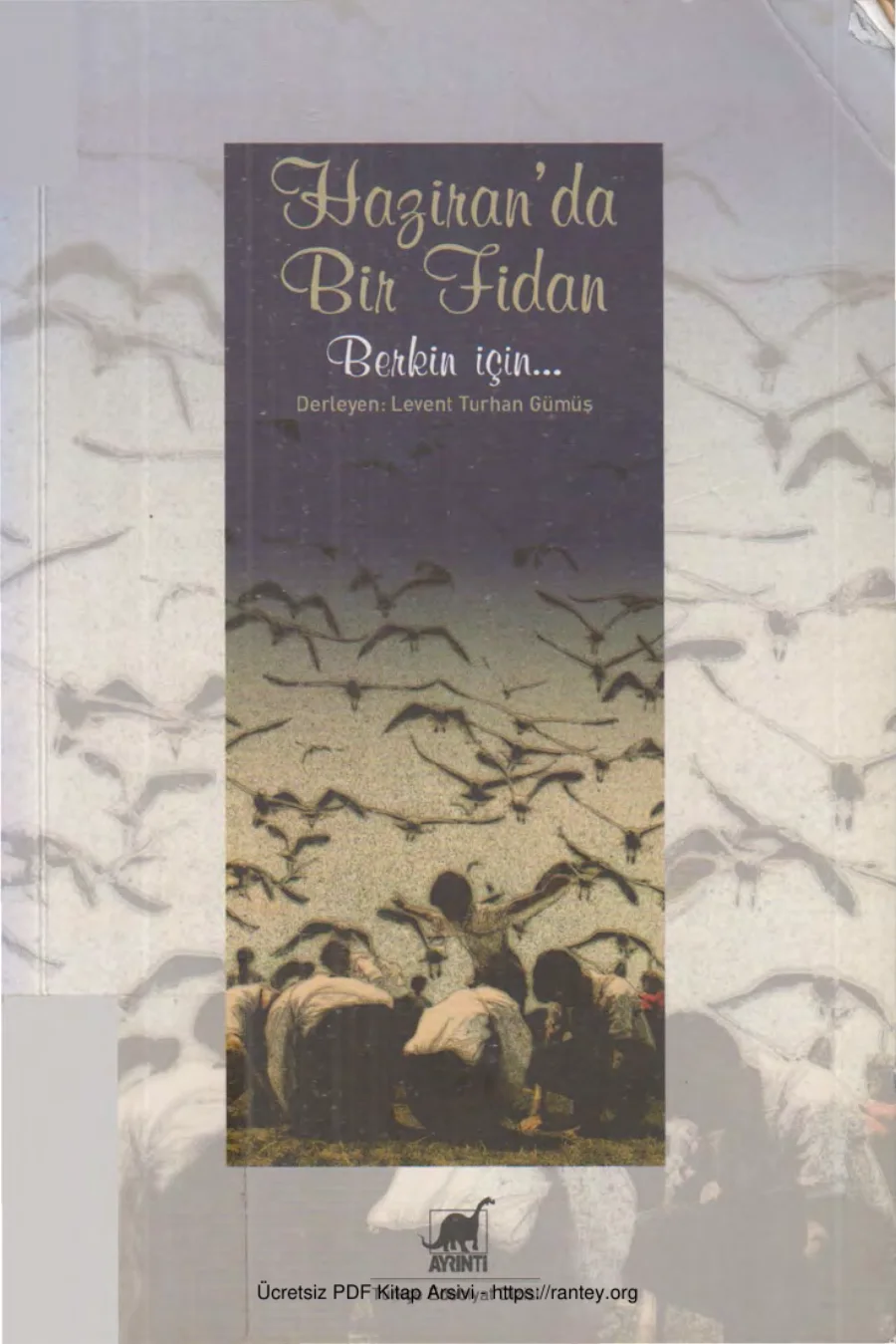 Gümüş Haziranda bir Fidan Berkin İçin kapak görseli