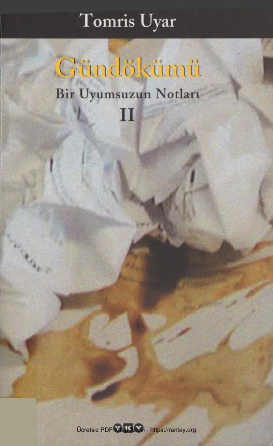 Gündökümü 2: Bir Uyumsuzun Notları kapak görseli
