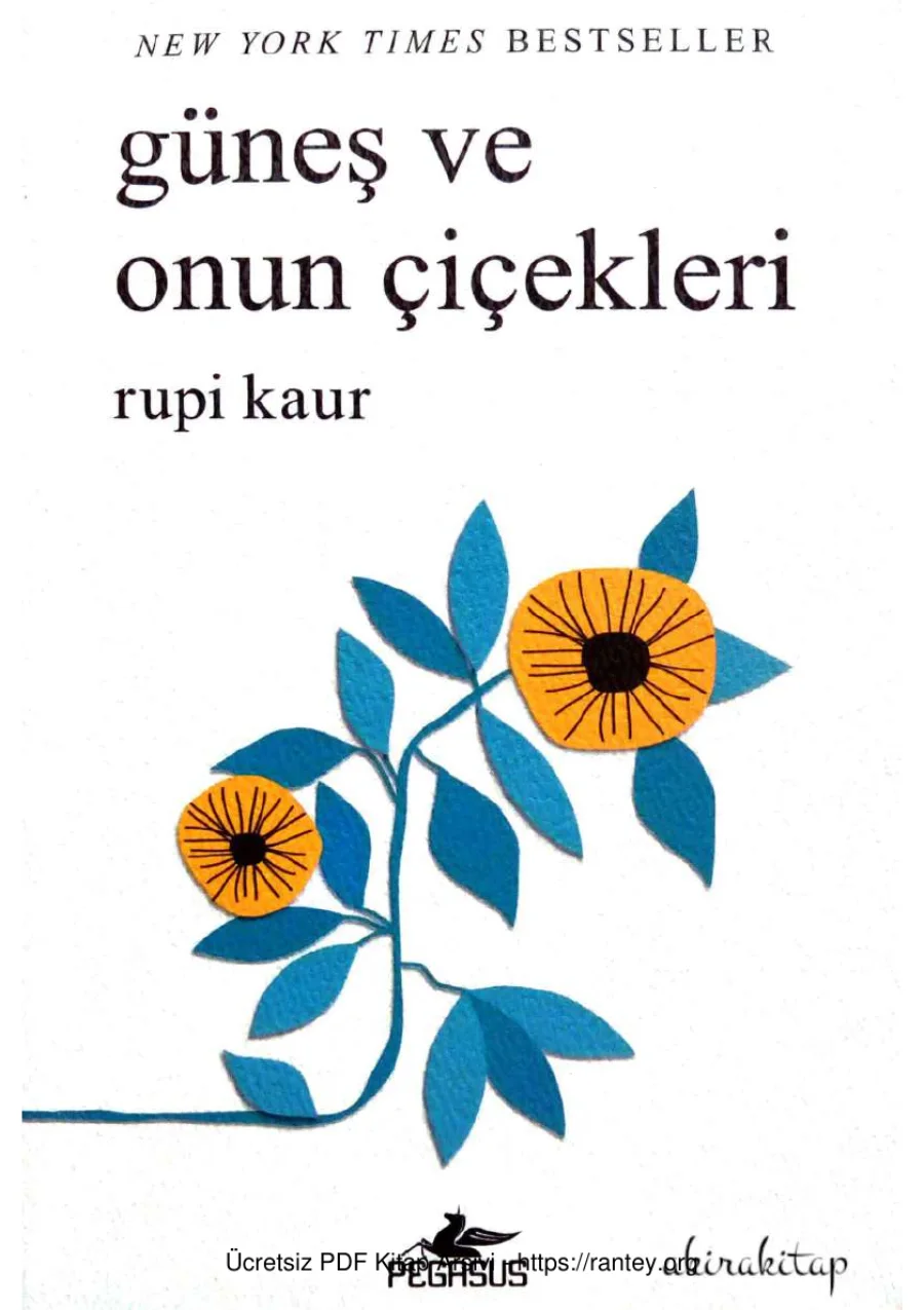 Güneş ve Onun Çiçekleri kapak görseli
