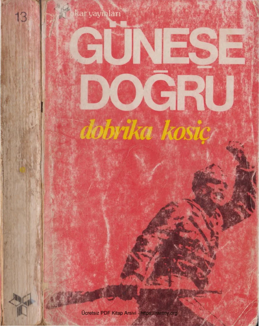 Güneşe Doğru kapak görseli