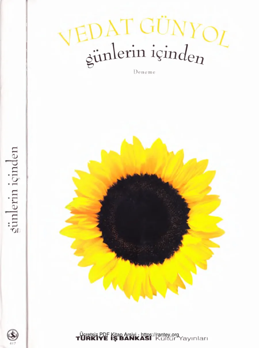 Günlerin İçinden kapak görseli