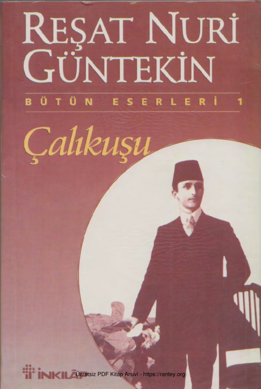 Güntekin Çalıkuşu kapak görseli