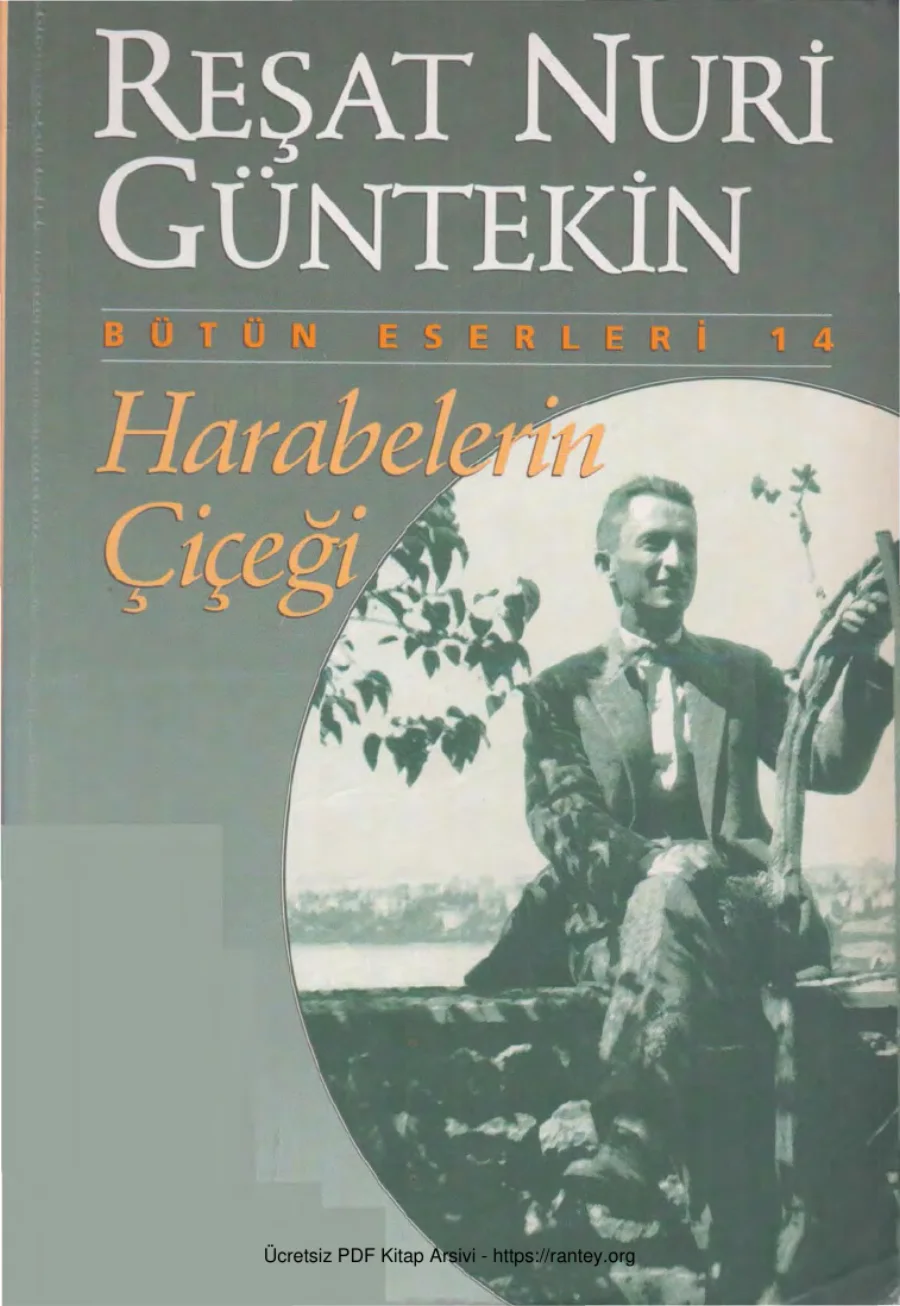 Güntekin Harabelerin Çiçeği kapak görseli