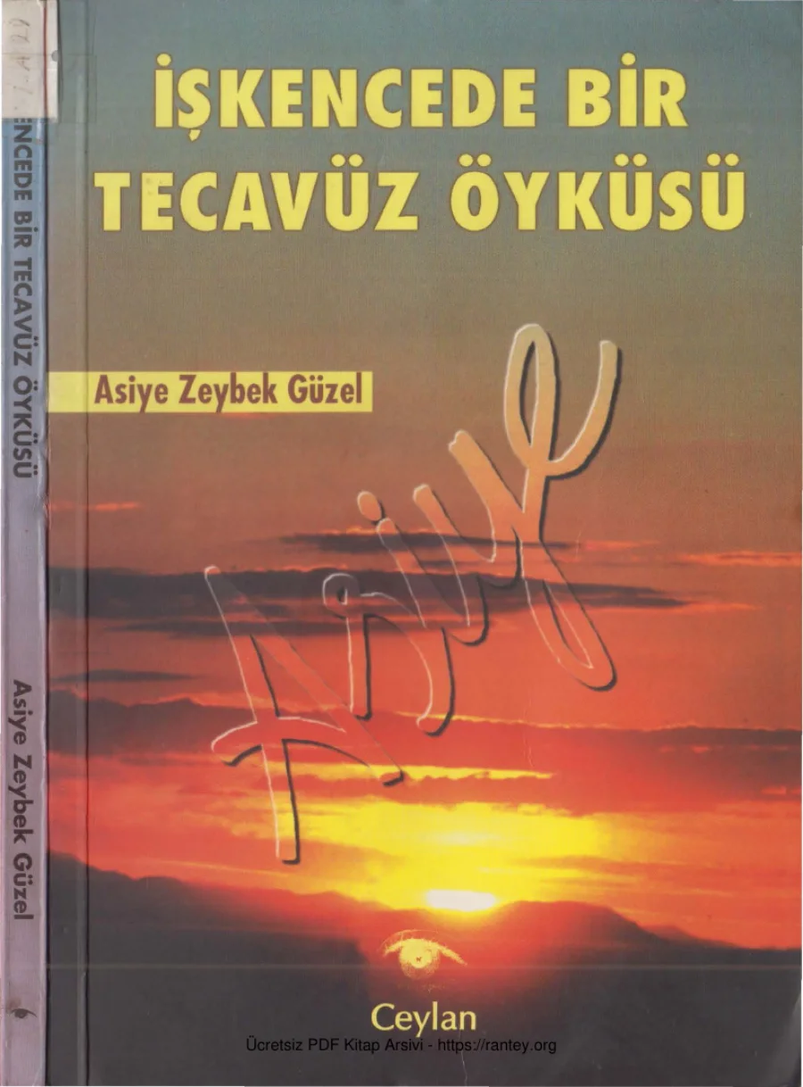 Güzel İşkencede Bir Tecavüz Öyküsü Ceylan Yayınları kapak görseli