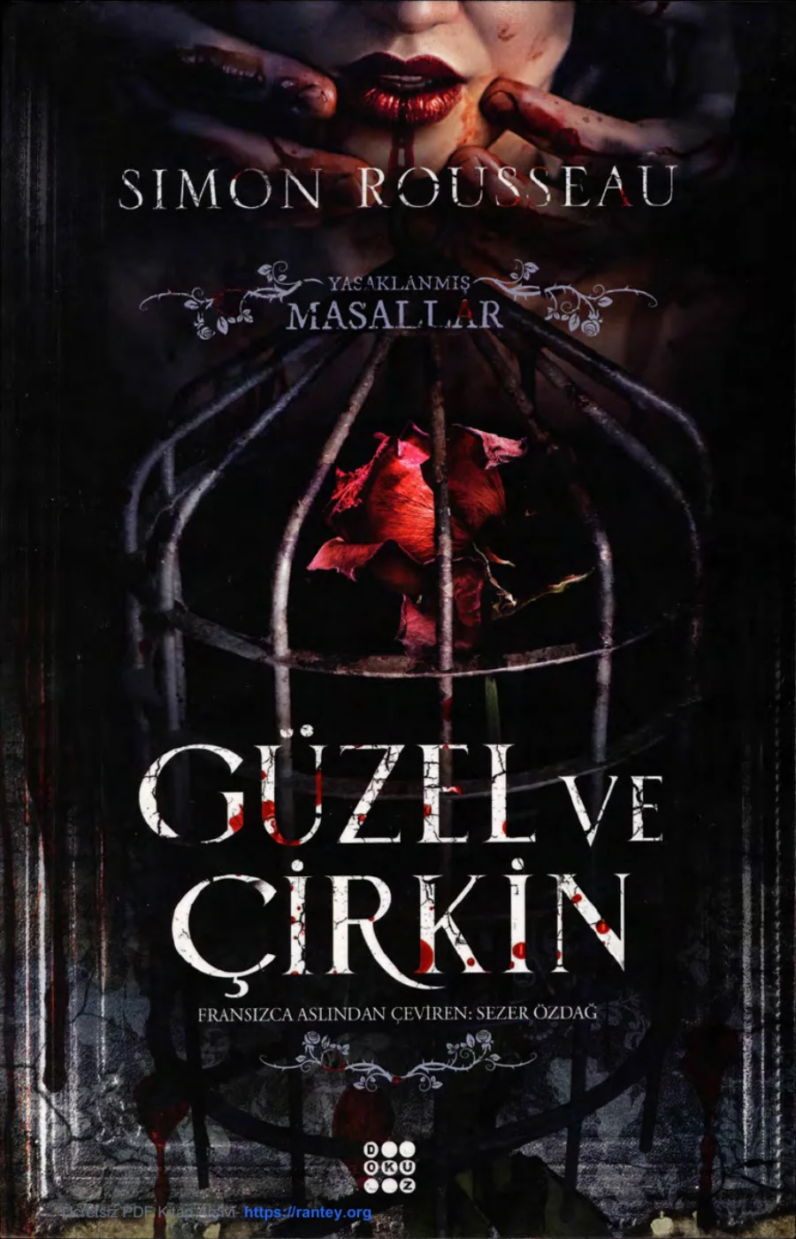 Güzel ve Çirkin kapak görseli