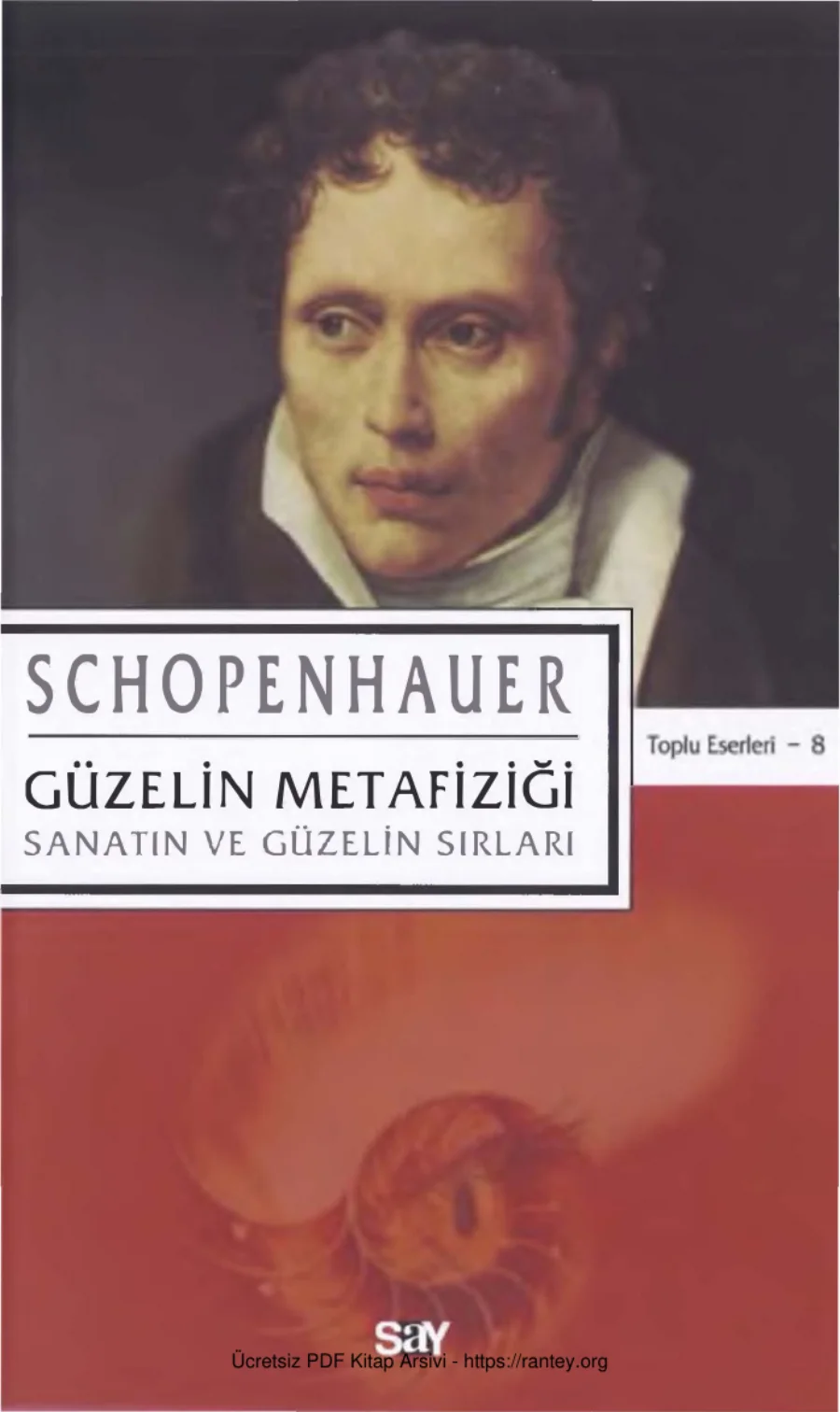 Güzelliğin Metafiziği Say Yayınları kapak görseli