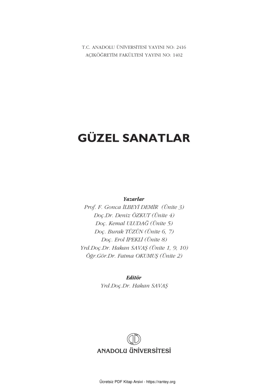 GüzelSanatlar2013 SAN202U kapak görseli