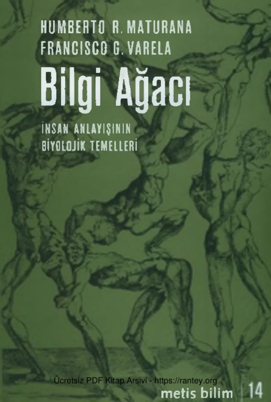 GVarela Bilgi Ağacı kapak görseli