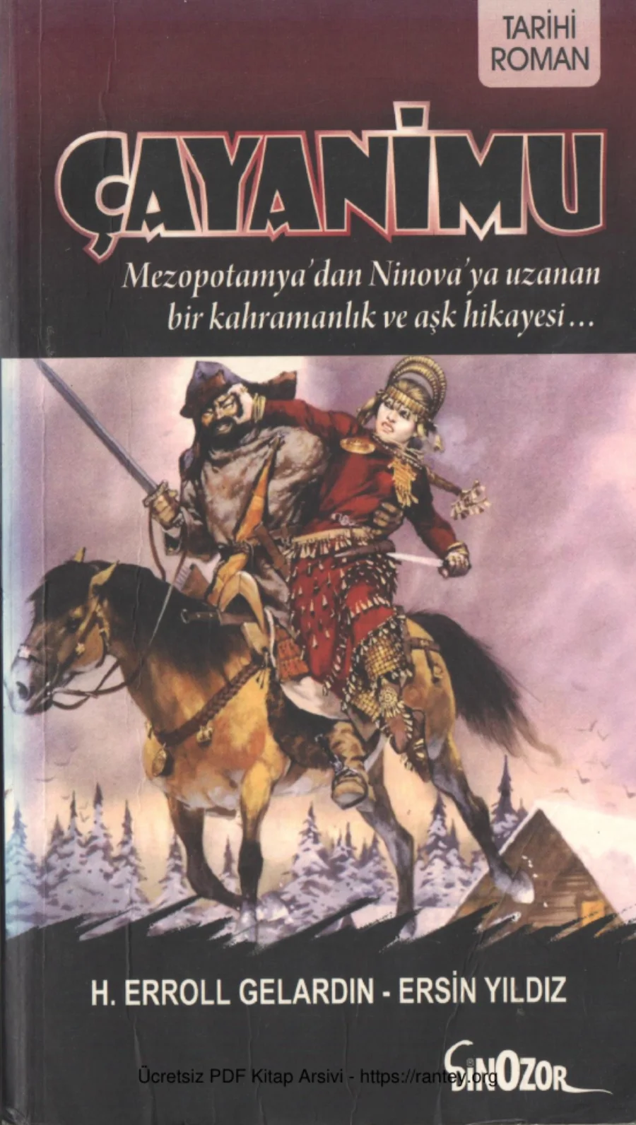 H Erroll Gelardin Ersin Yıldız Çayanimu Dinizor Yayınları kapak görseli