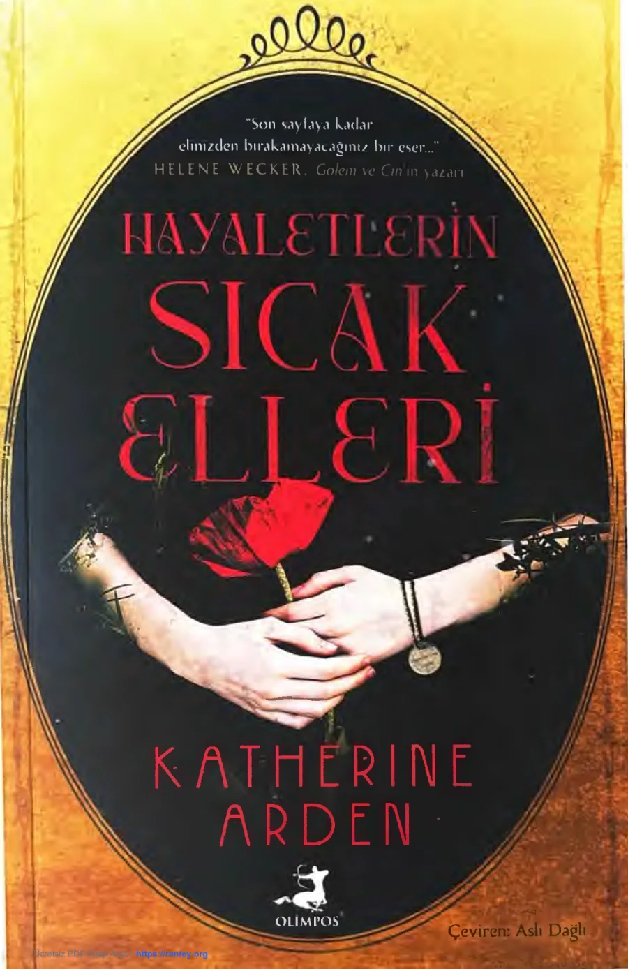 Hayaletlerin Sıcak Elleri kapak görseli