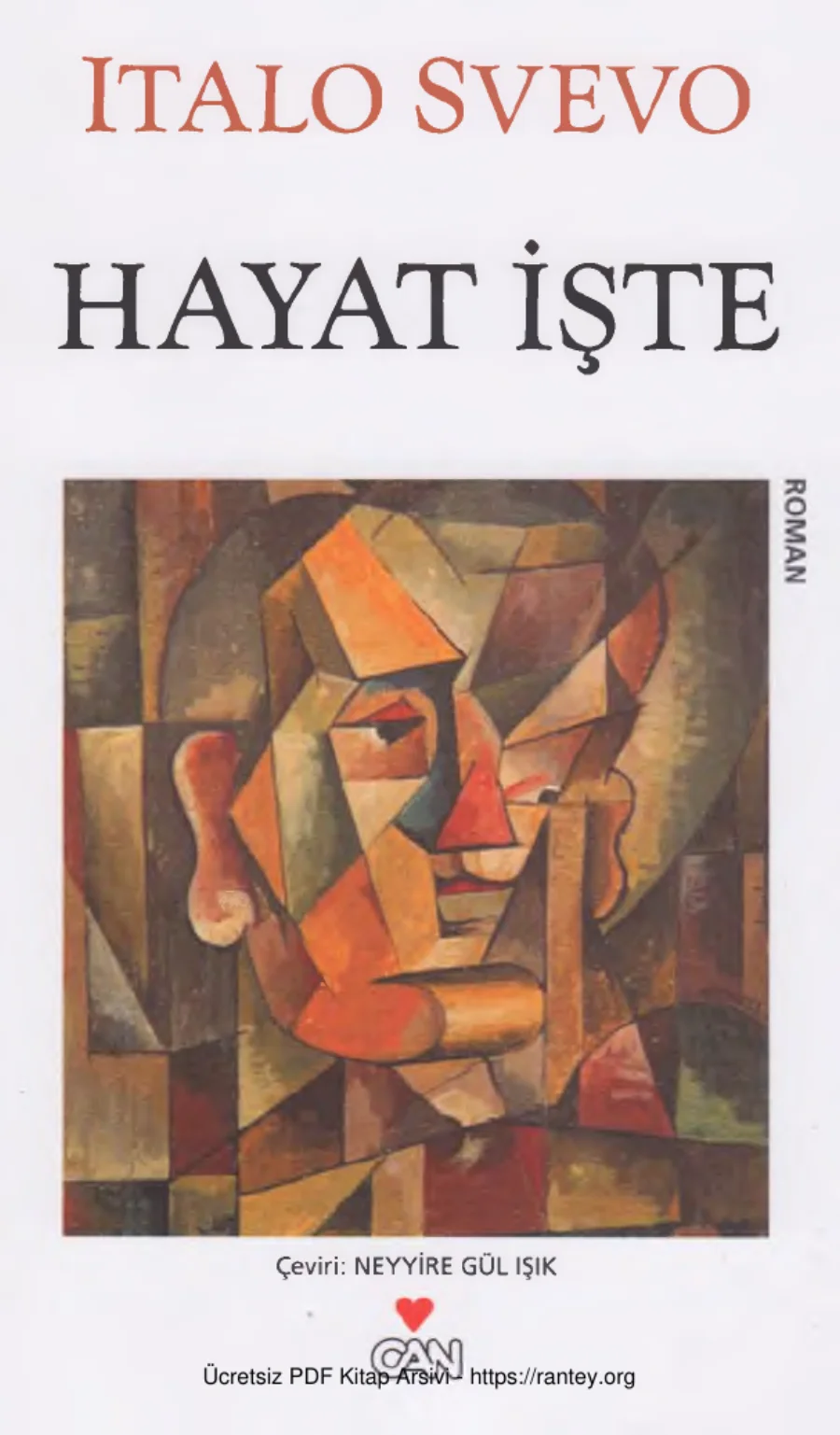 Hayat İşte kapak görseli