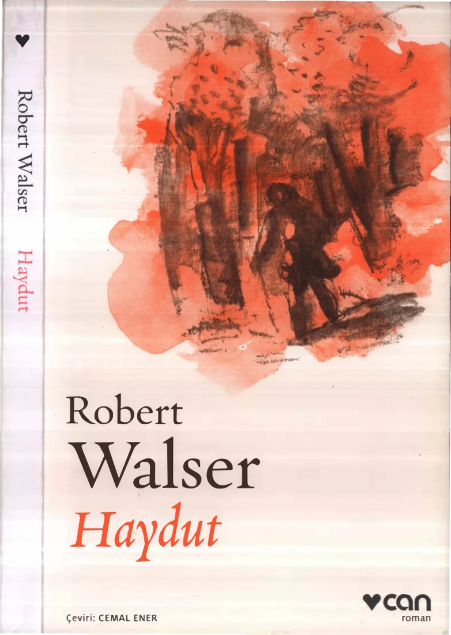 Haydut kitap kapağı