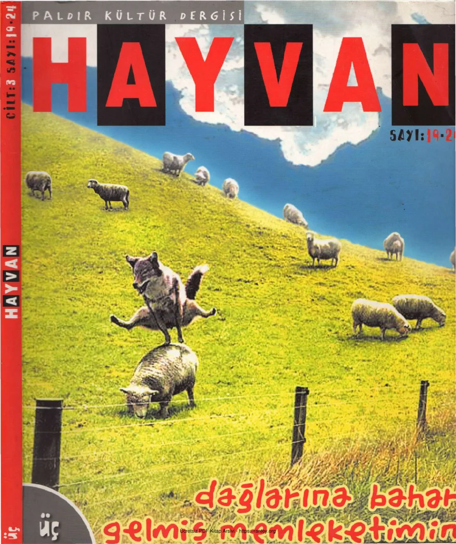 Hayvan Sayı 19 Aralık 2003 kapak görseli