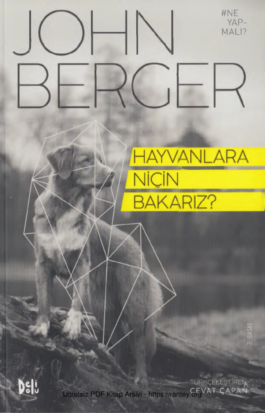 Hayvanlara Niçin Bakarız Deli Dolu Yayınları kapak görseli