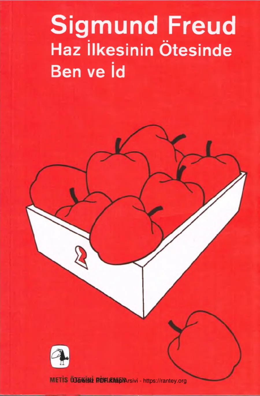 Haz İlkesinin Ötesinde Ben ve İd kapak görseli