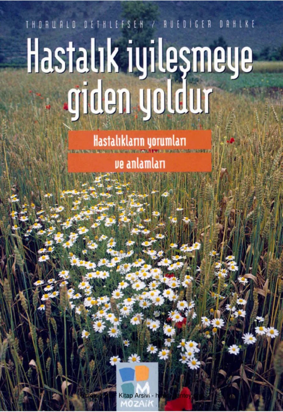 Haznedar Hastalığa Giden Yollar Arkeoloji ve Sanat Yayınları kapak görseli