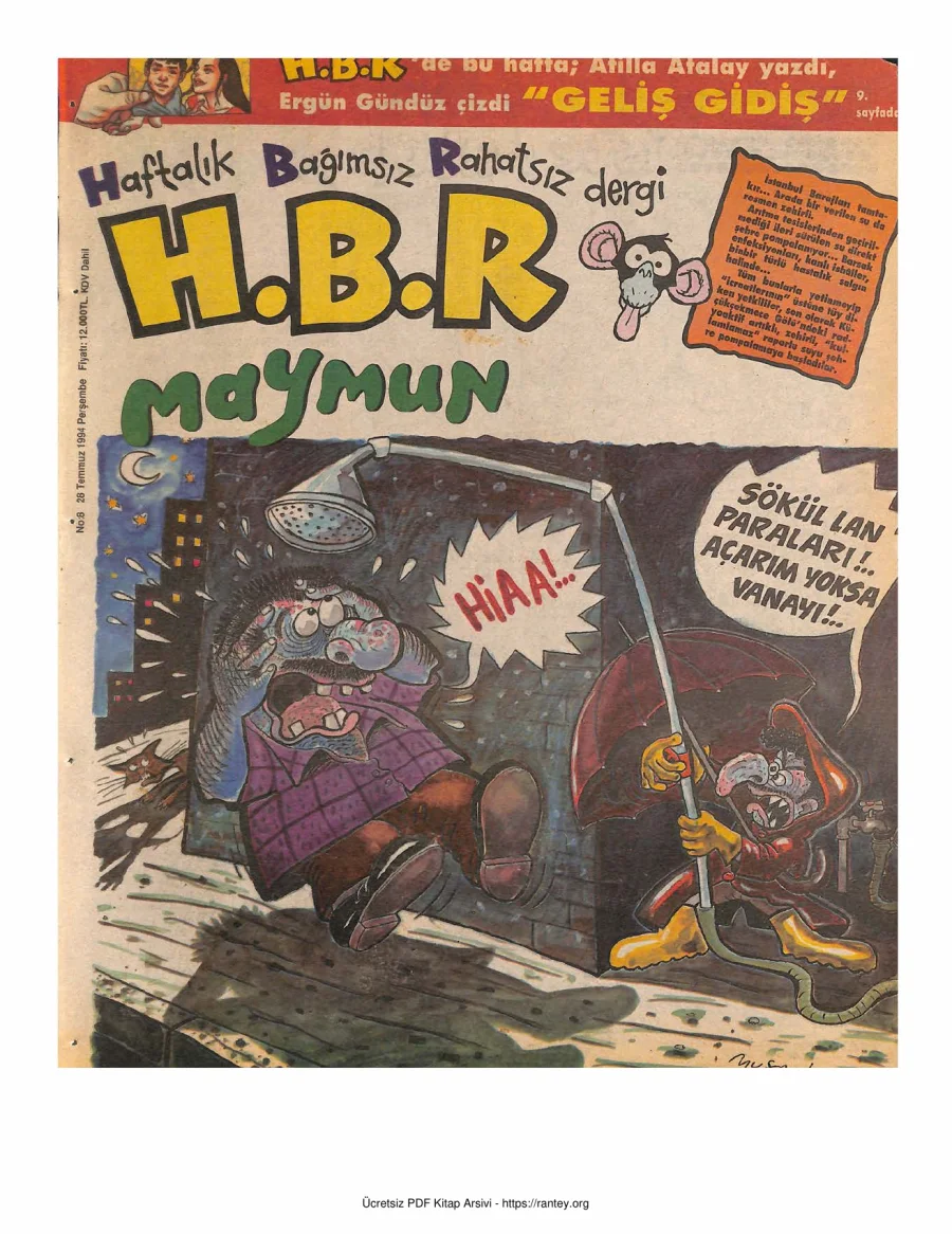 HBR Maymun Sayı 008 kapak görseli