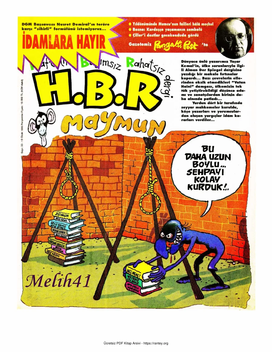 HBR Maymun Sayı 033 kapak görseli