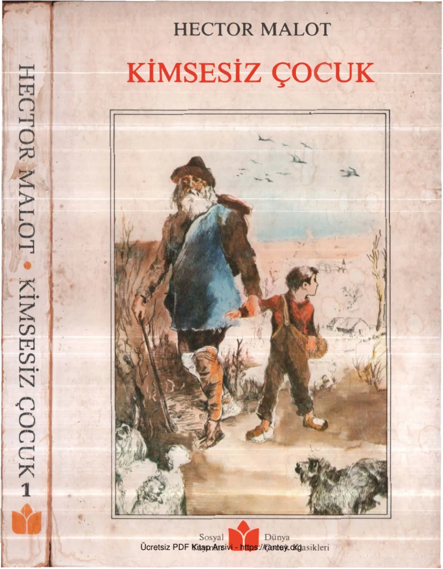 Hector Malot Kimsesiz Çocuk kapak görseli