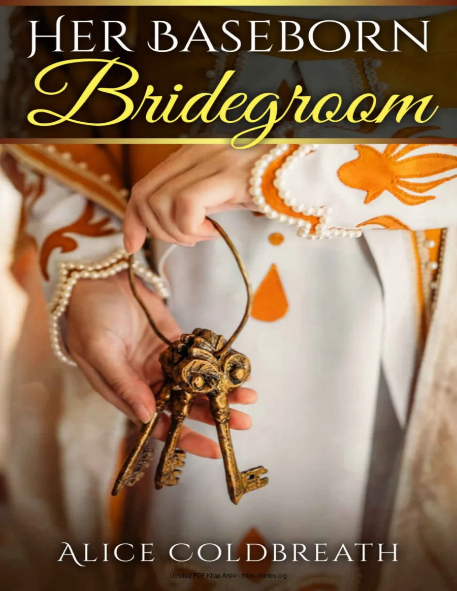 Her Baseborn Bridegroom kapak görseli