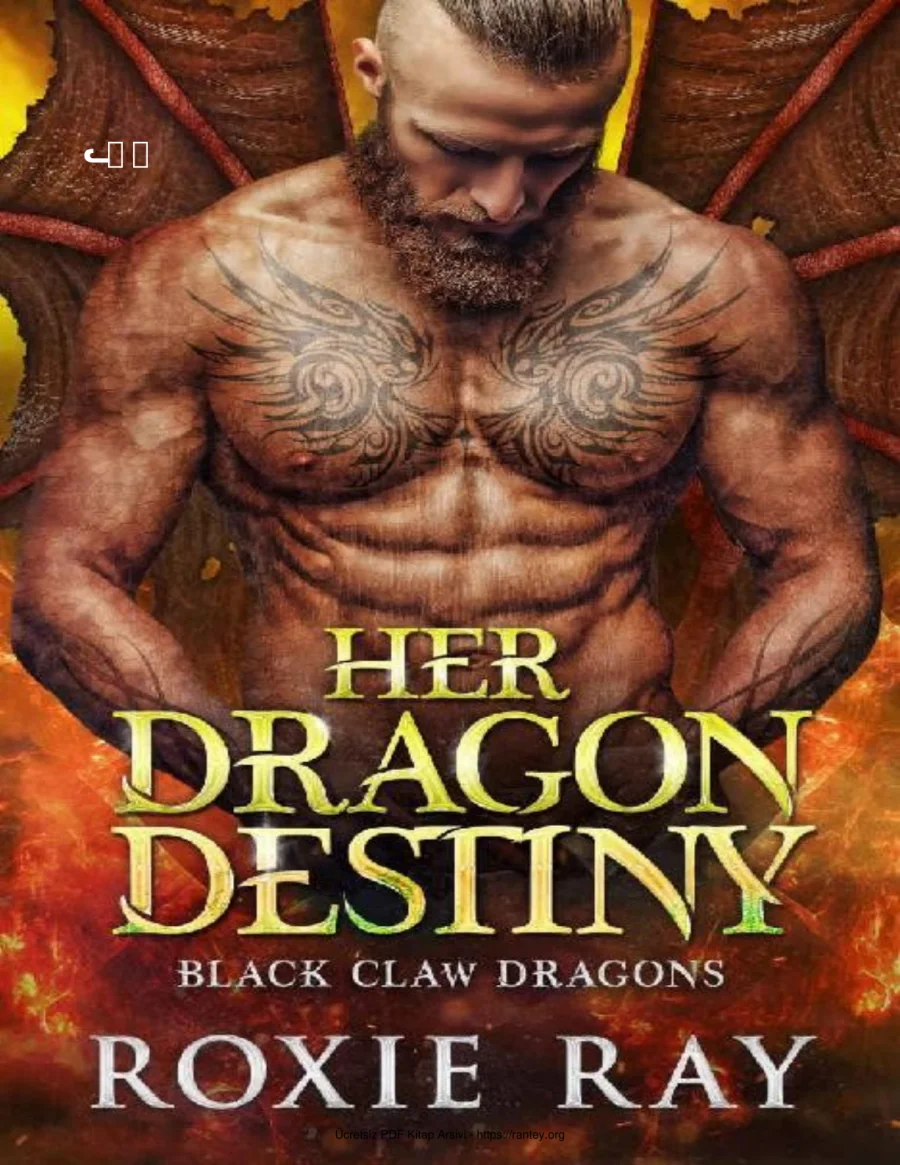 Her Dragon Destiny kapak görseli