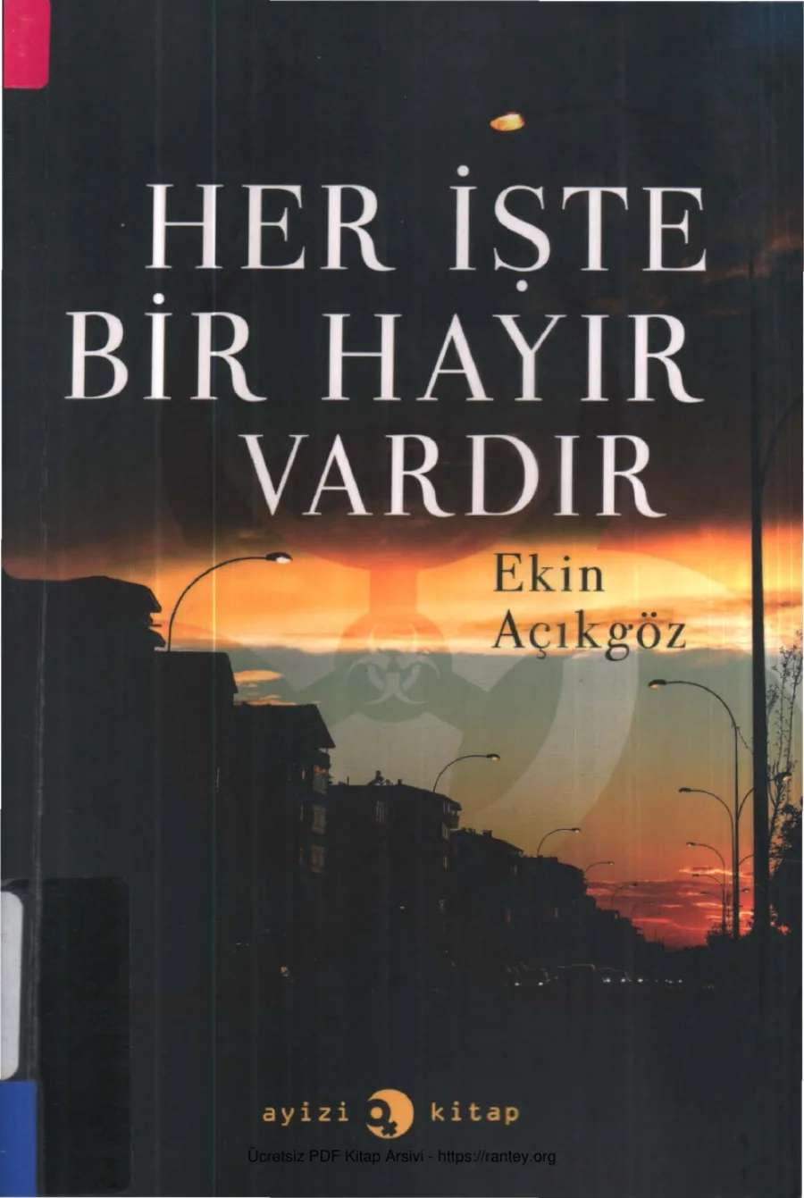 Her İşte Bir Hayır Vardır kapak görseli
