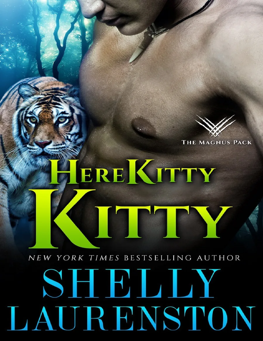 Here Kitty Kitty kapak görseli