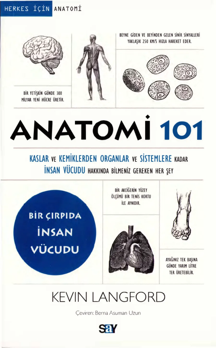 Herkes İçin Anatomi kapak görseli