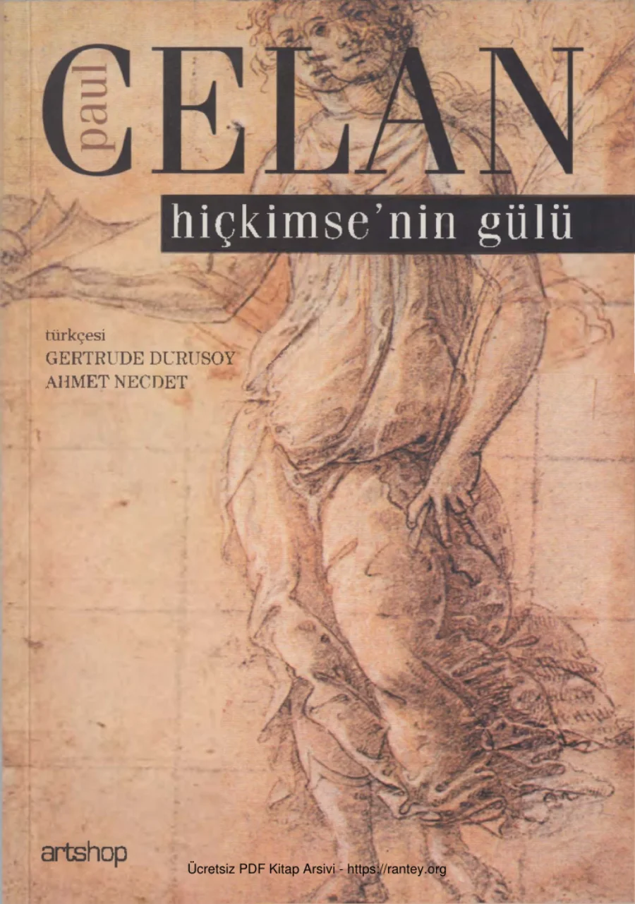 Hiçkimsenin Gülü kapak görseli