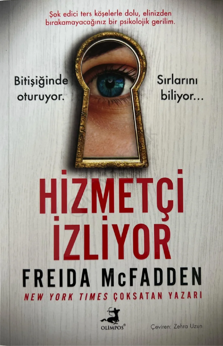 Hizmetçi İzliyor kapak görseli