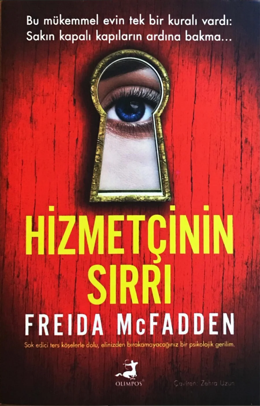 Hizmetçinin Sırrı kapak görseli