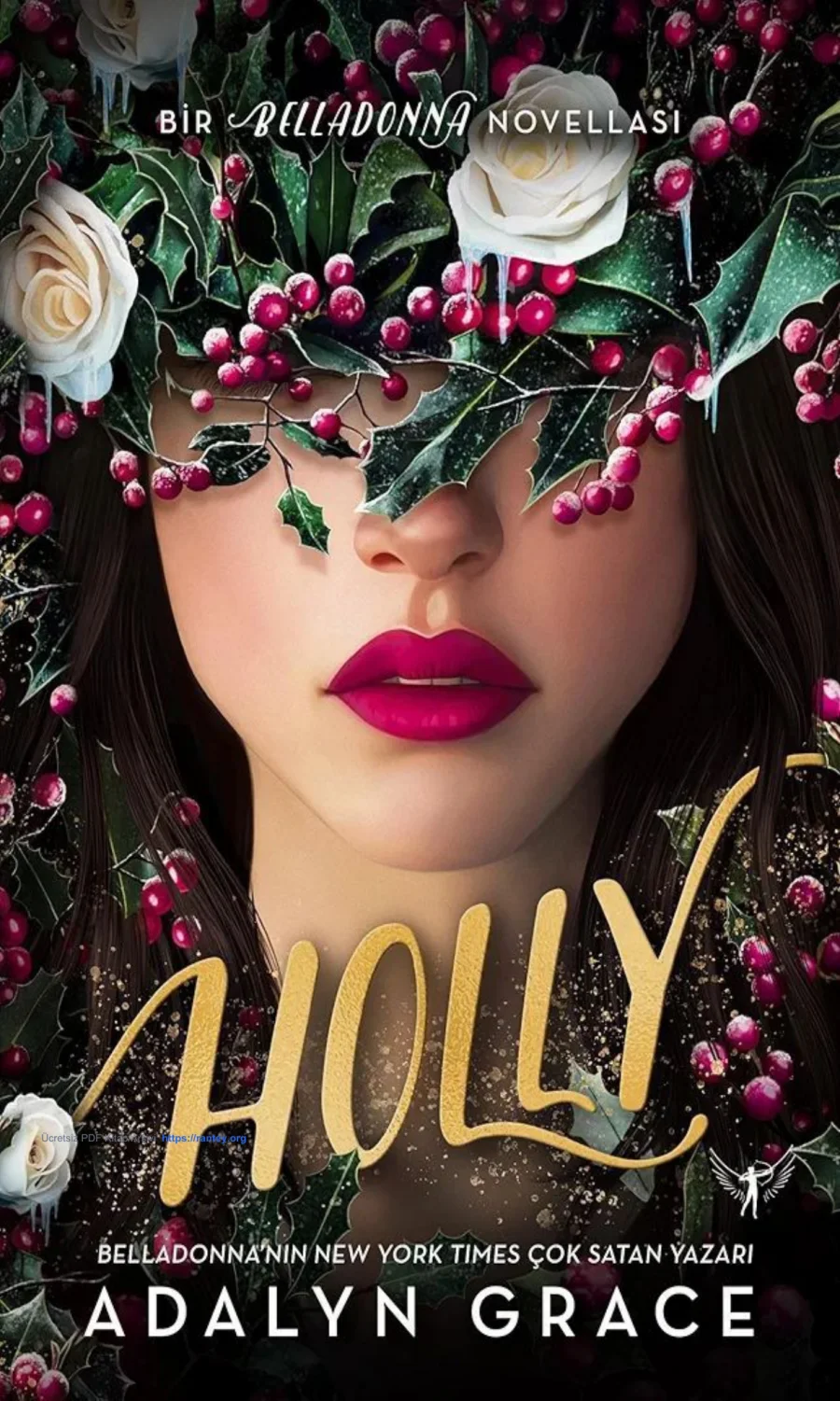 Holly kapak görseli