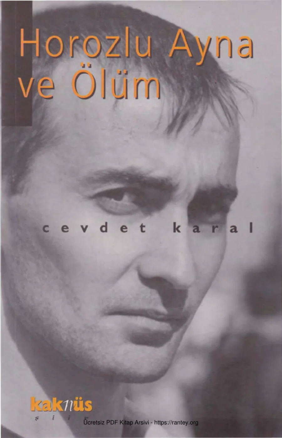 Horozlu Ayna ve Ölüm kapak görseli