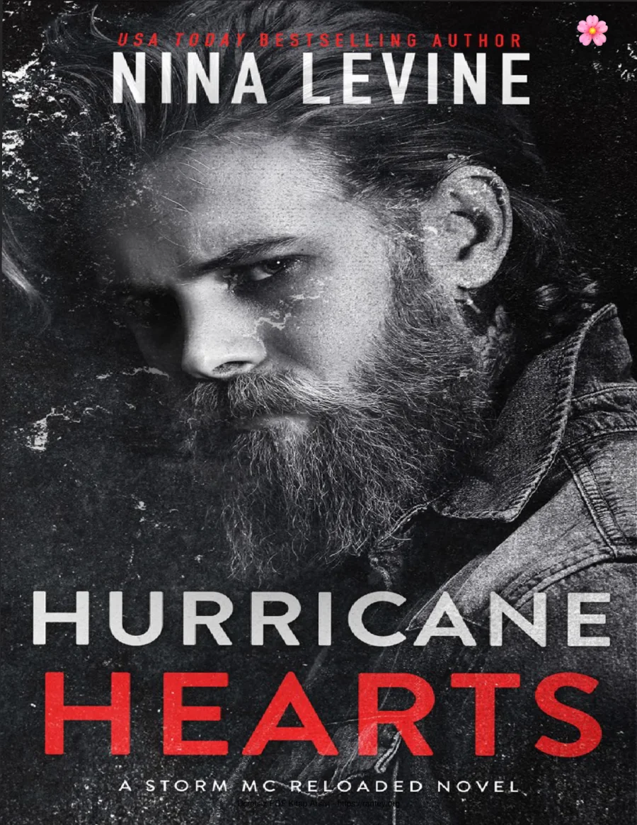 Hurricane Hearts kapak görseli