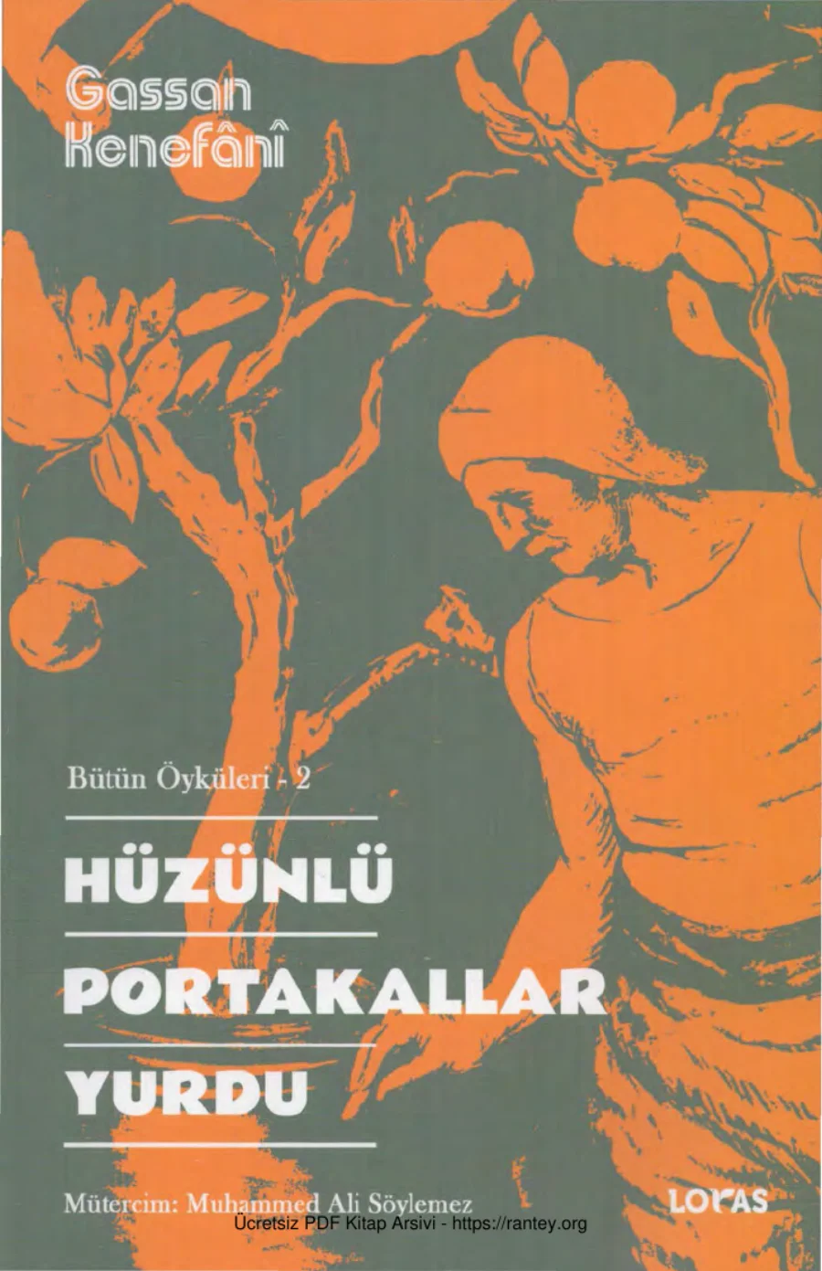 Hüzünlü Portakallar Yurdu Loras Yayınları kapak görseli
