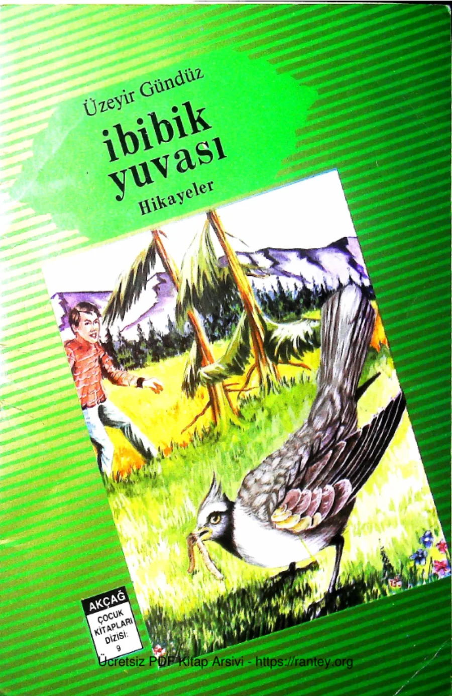 Ibibik Yuvasi kapak görseli