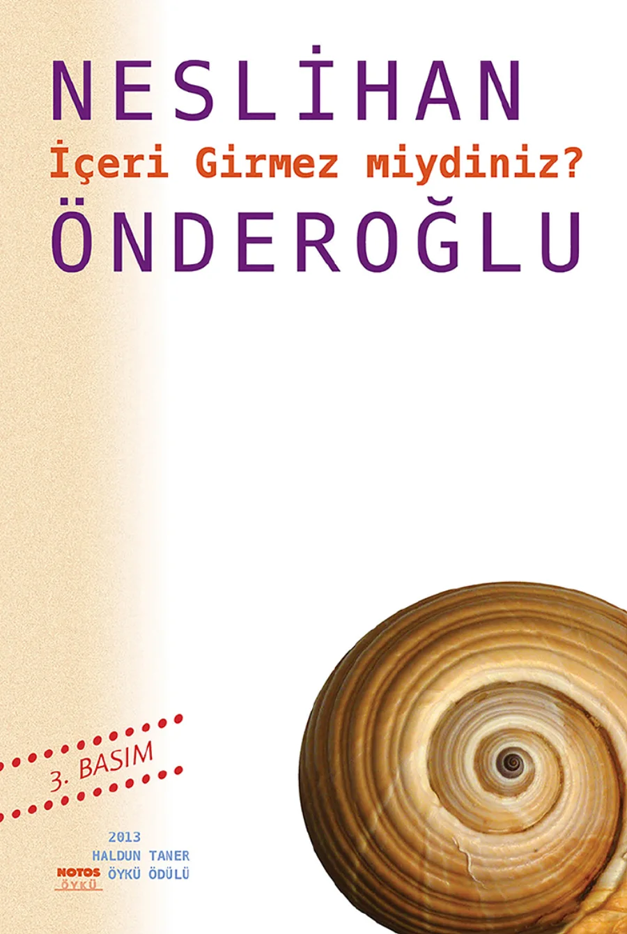 İçeri Girmez miydiniz kapak görseli
