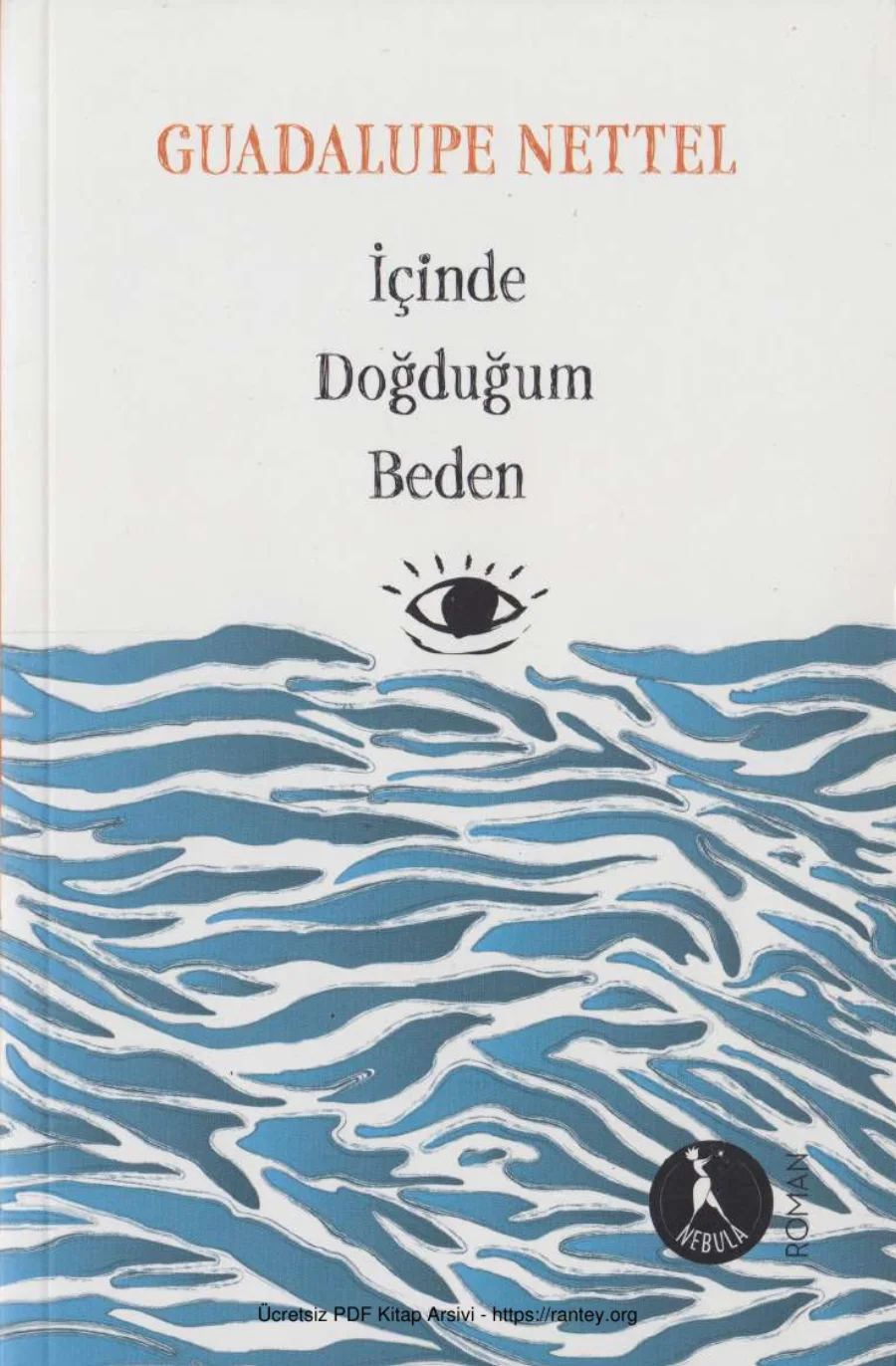 İçinde Doğduğum Beden Cem Yayınevi kapak görseli