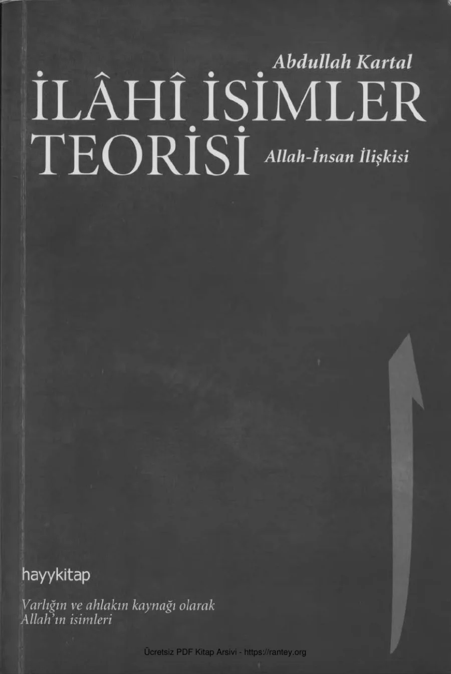 İlahi İsimler Teorisi Hayy Kitap kapak görseli