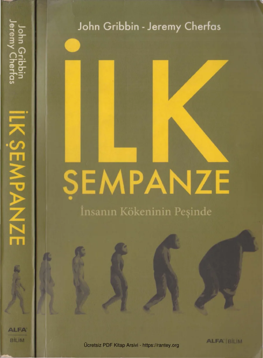 İlk Şempanze kapak görseli