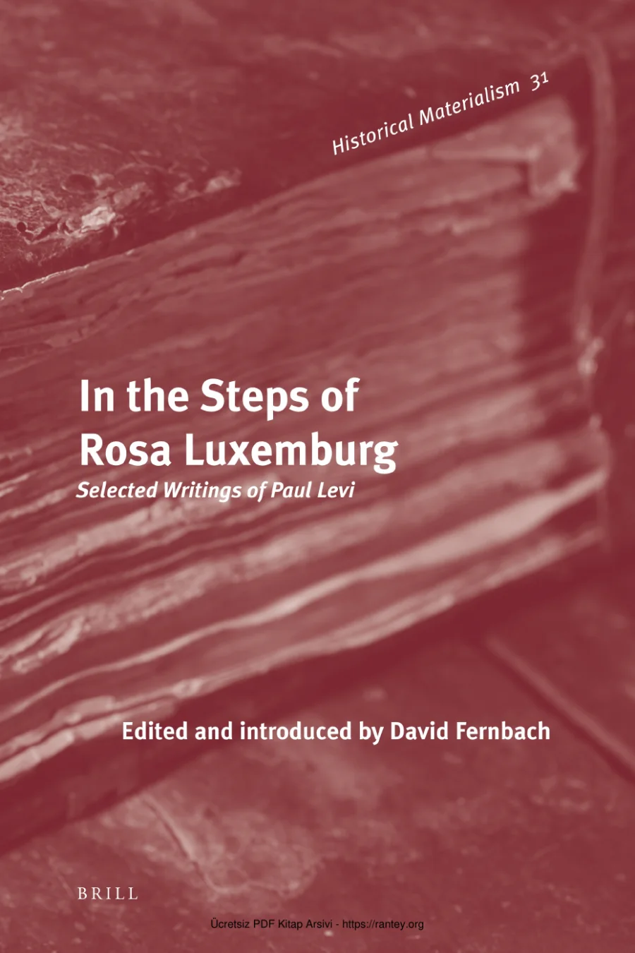 In the steps of Rosa Luxemburg kapak görseli
