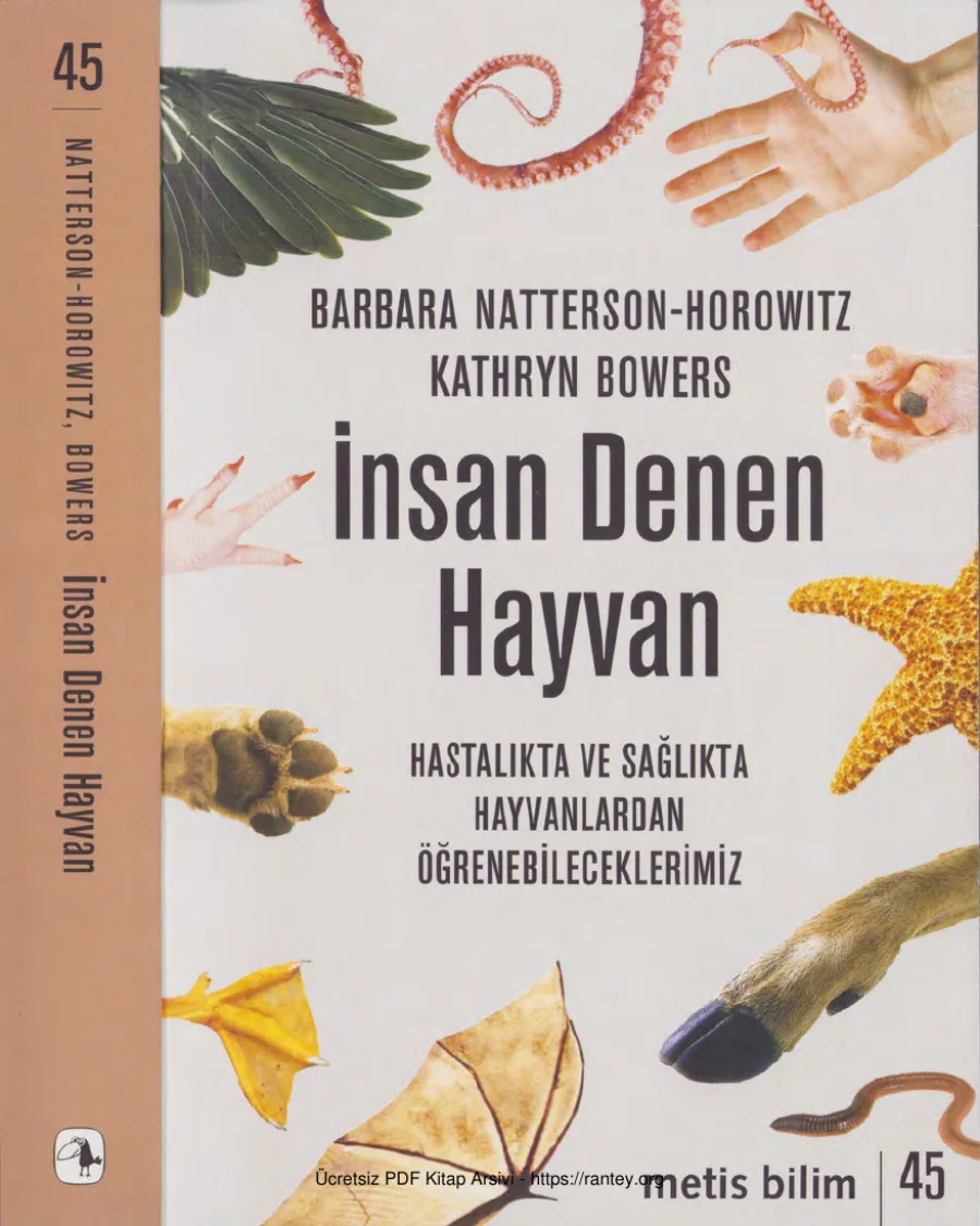 İnsan Denen Hayvan kapak görseli