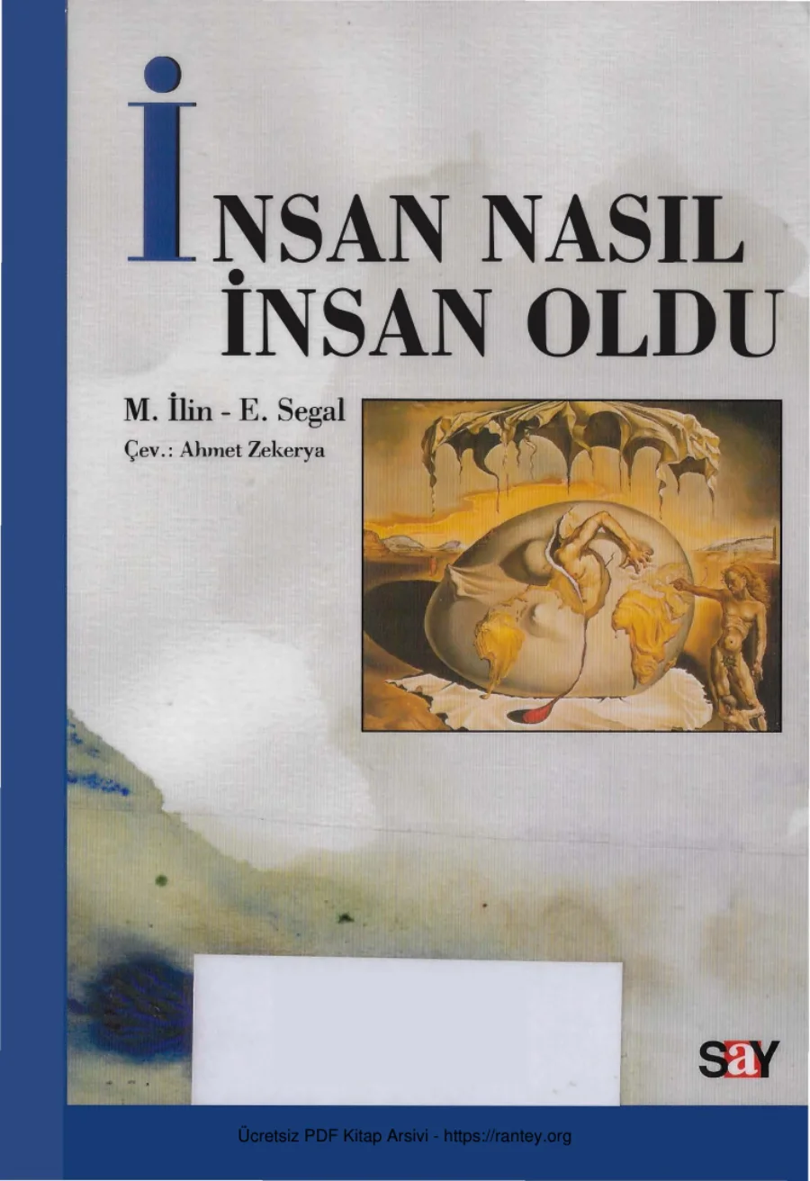 İnsan Nasıl İnsan Oldu kapak görseli